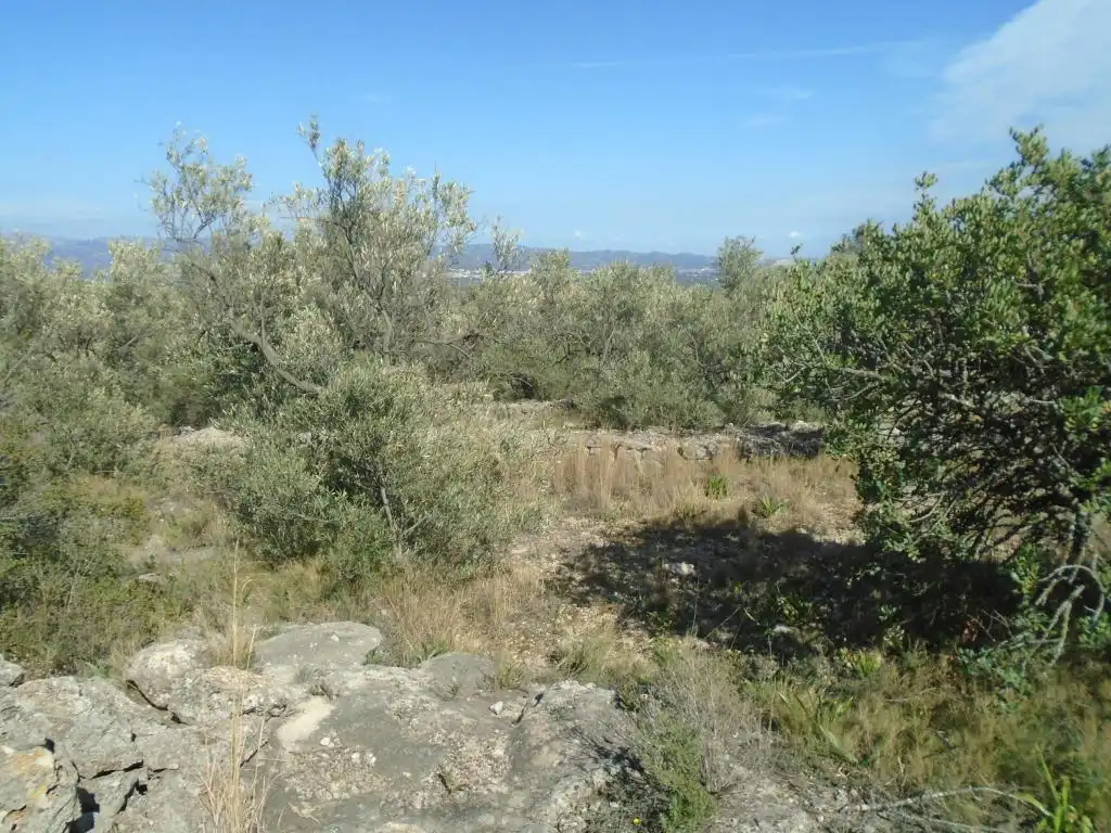 Residential land for sale in Vall D'En Pasto, imagen 5