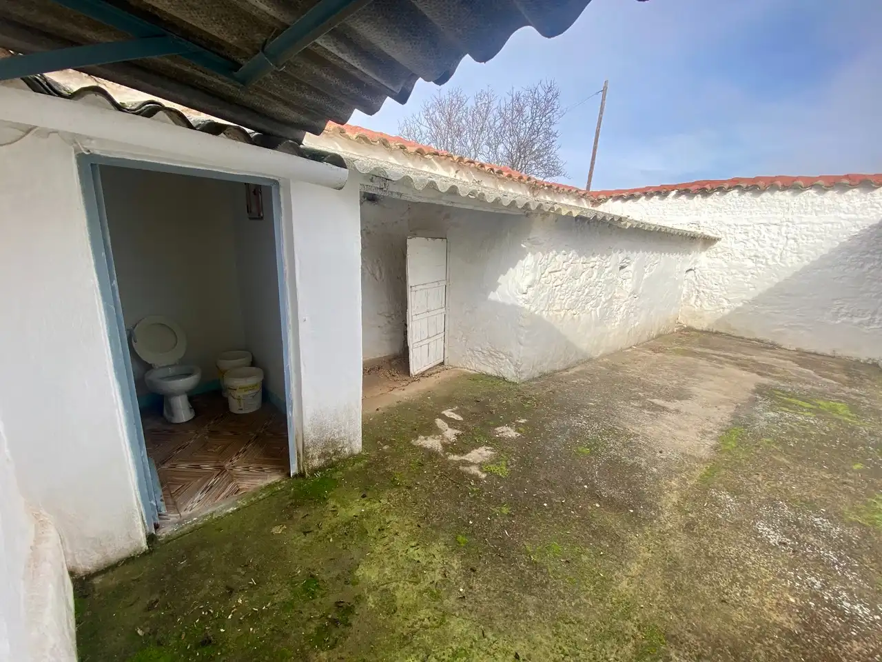 Vista exterior de Casa o chalet en venta en Ciudad Real con Jardín privado, Piscina y Amueblado