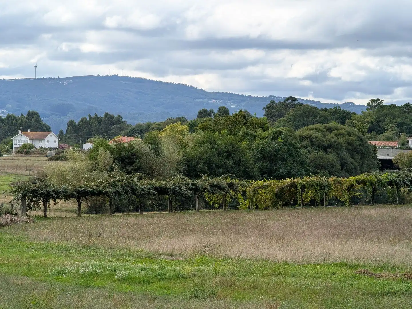 Houses for sale in Silleda, Pontevedra