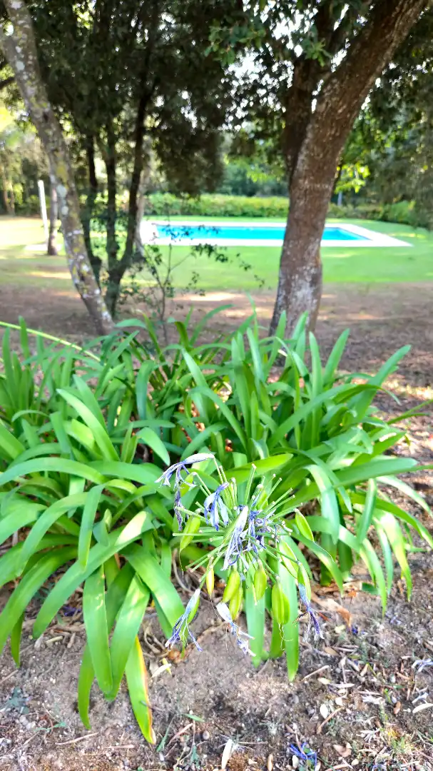 Jardí de Apartament de lloguer en Begur amb Jardí privat, Piscina i Moblat