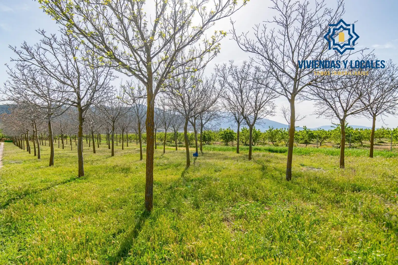 Terreni e lotti in vendita a Padul, imagen 19