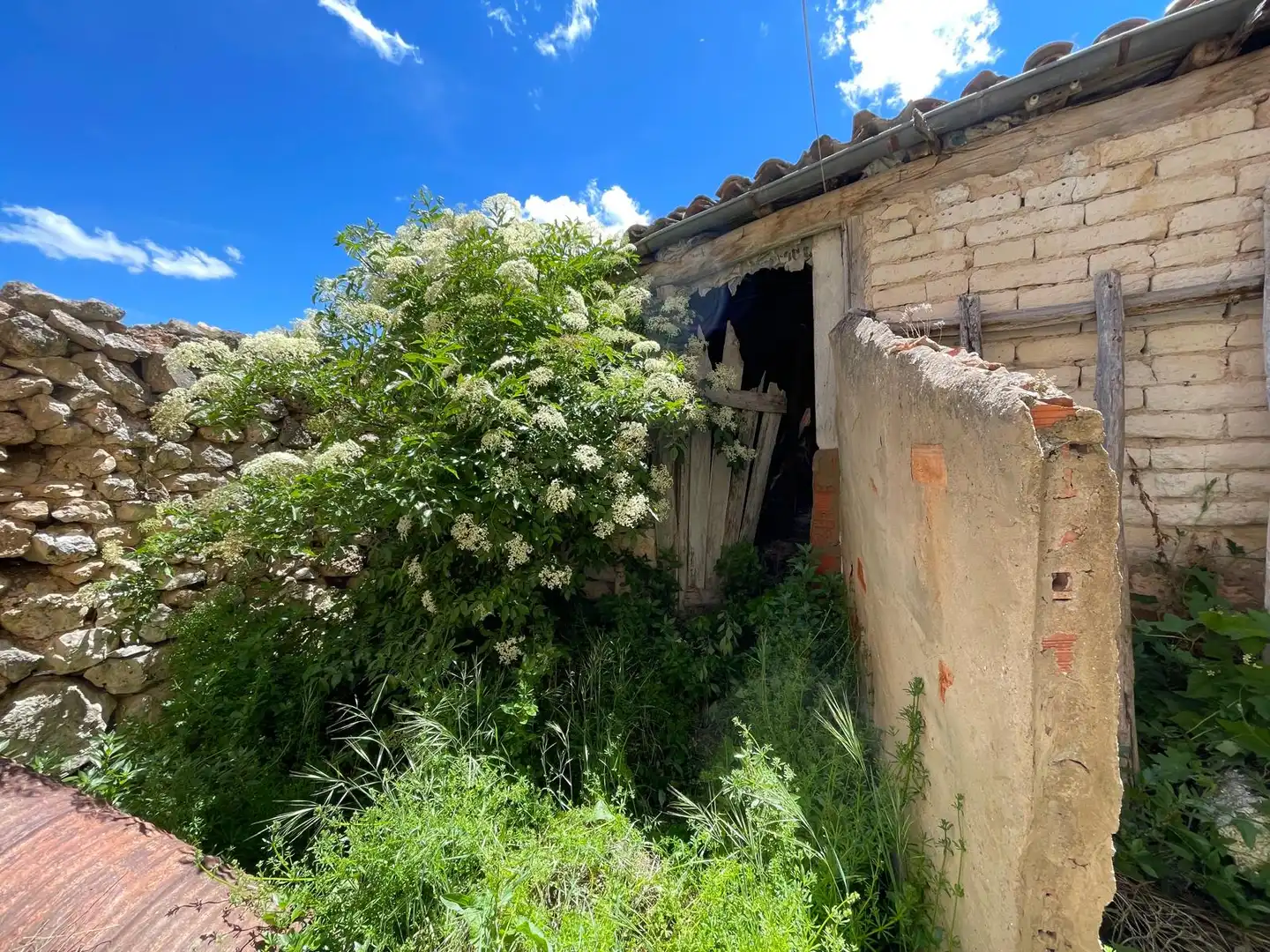 Vista exterior de Finca rústica en venda en Espinosa de Cerrato amb Jardí privat