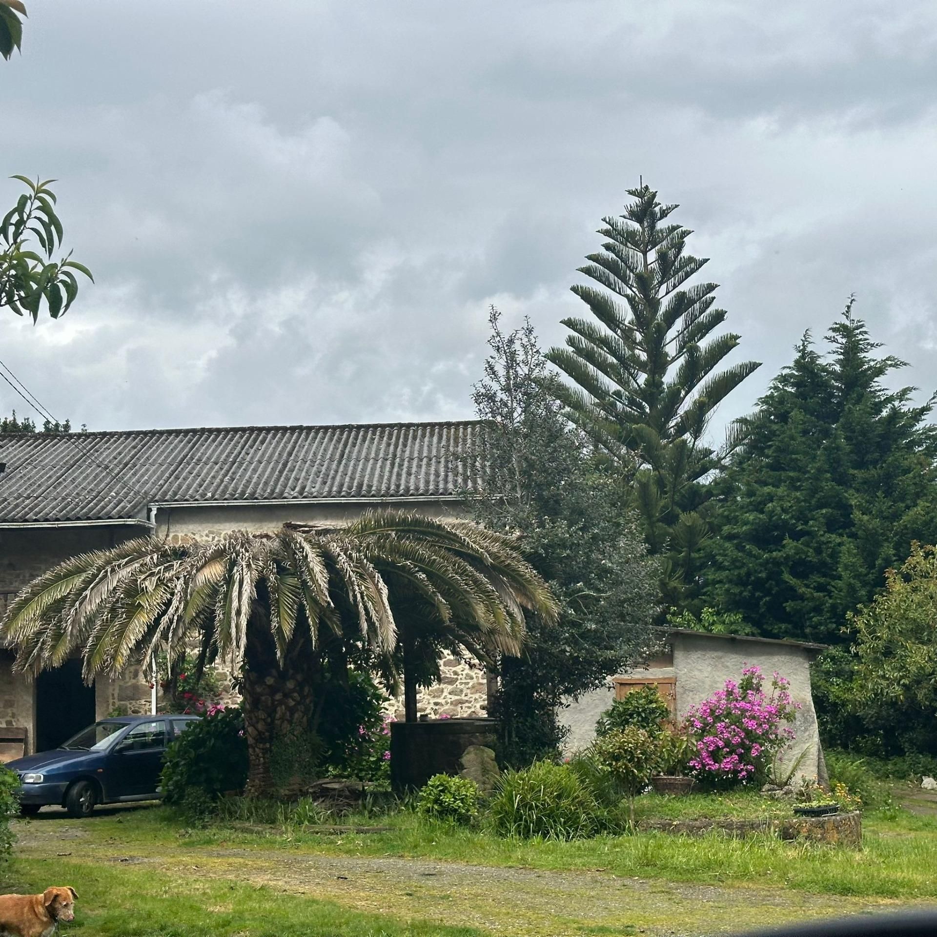 Exterior view of House or chalet for sale in Culleredo  with Private garden