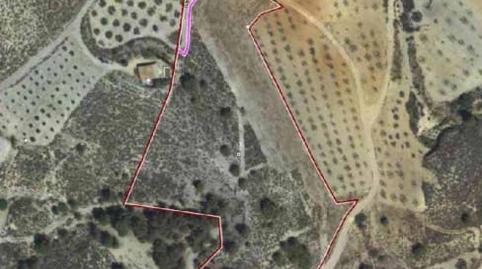 Photo 5 of Land for sale in Pr/ Torrecilla, San José, Murcia