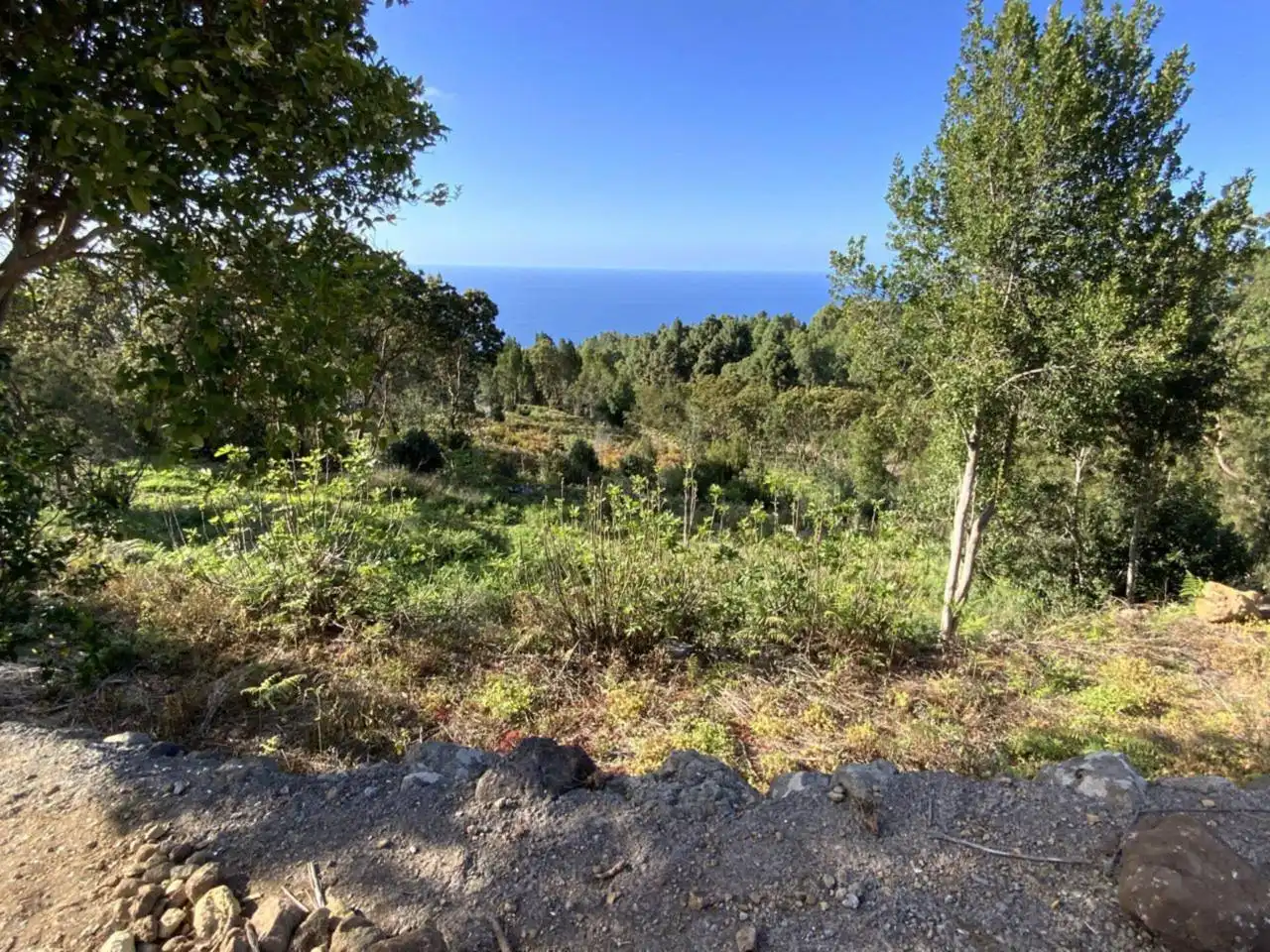 Terreno en venta en Icod de los Vinos