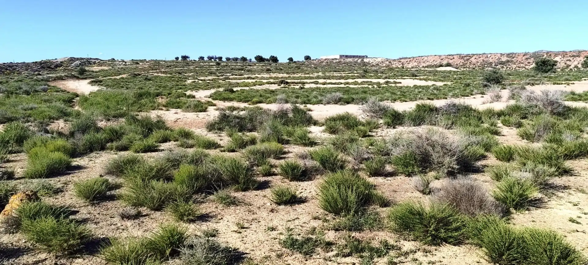 Rural land for sale in Partida Los Cabezos