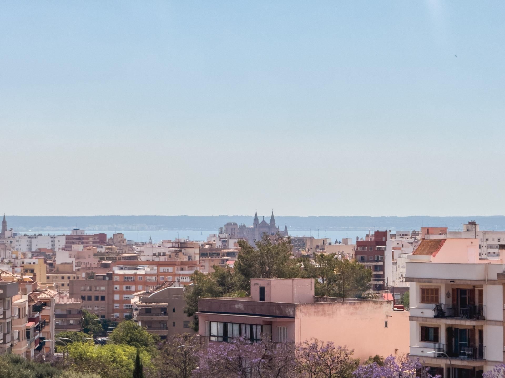 Vista exterior de Piso en venta en  Palma de Mallorca con Aire acondicionado, Calefacción y Parquet