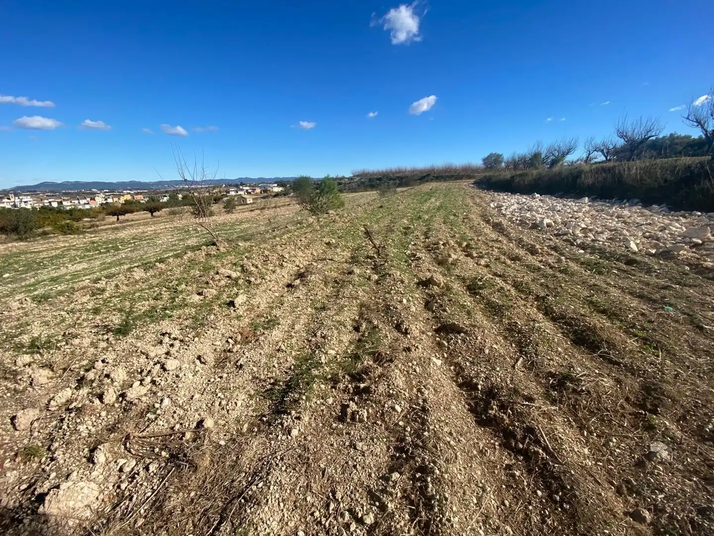 Terreno residenziale in vendita a Albaida, imagen 5