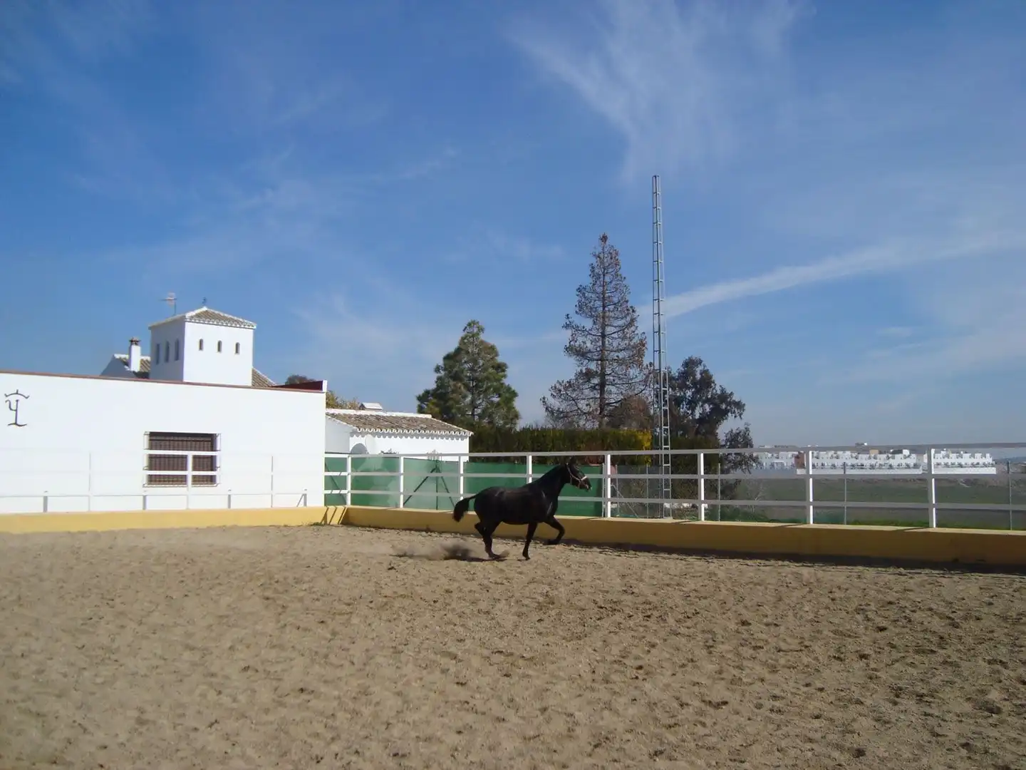 Exterior view of Country homes for sale in Marchena  with Terrace and Swimming Pool
