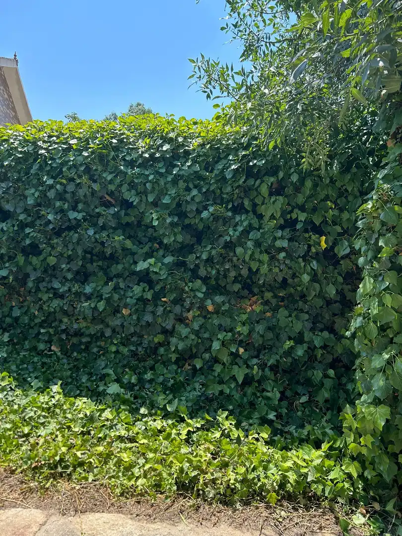 Jardín de Casa o chalet en venta en Colmenarejo con Calefacción, Jardín privado y Terraza