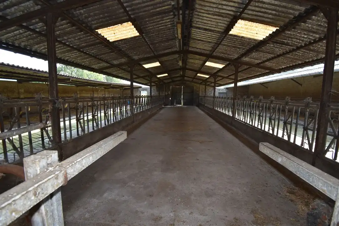 Industrial building for sale in Barrio Solorz, imagen 13