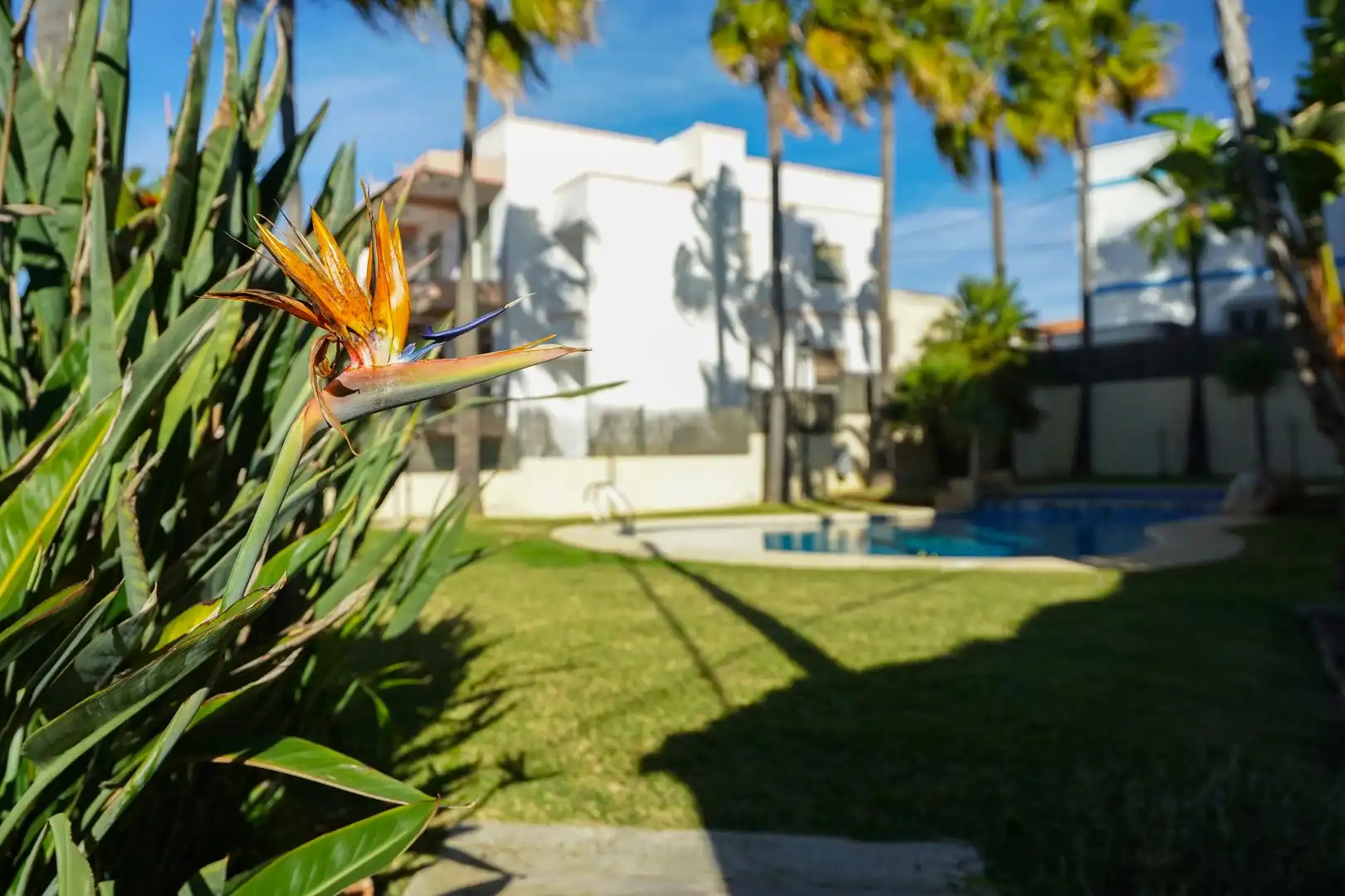 Jardín de Casa adosada en venta en Jávea / Xàbia con Aire acondicionado, Calefacción y Jardín privado