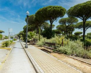 Exterior view of Land for sale in Chiclana de la Frontera