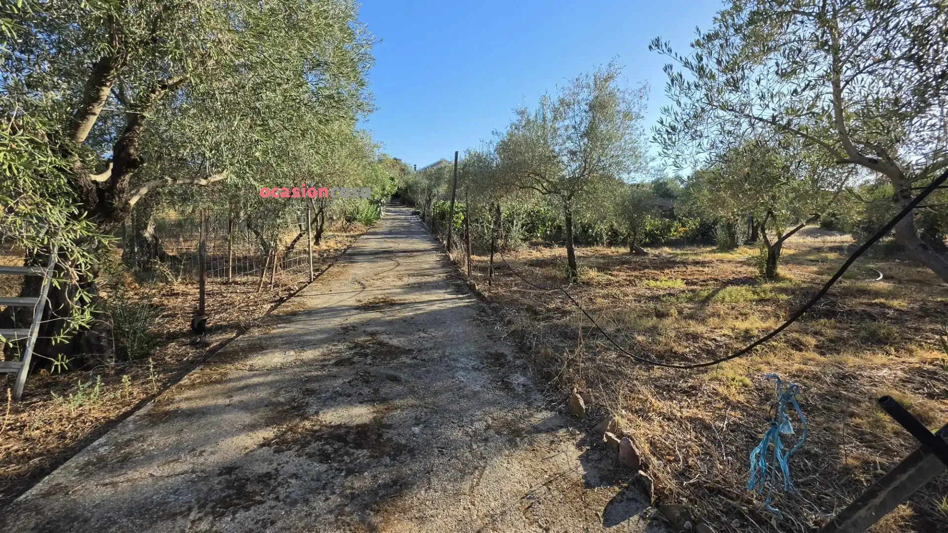 Wohnbaugrundstück zum Verkauf in La Granjuela, imagen 13