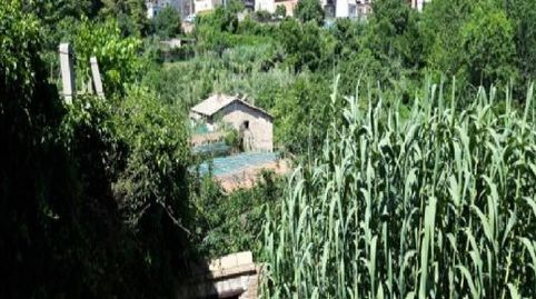 Immagine 2 dell'annuncio