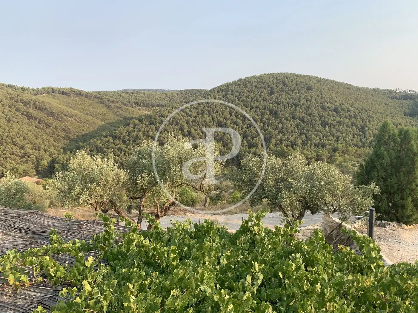 Finca rústica en venda en Torremanzanas / La Torre de les Maçanes amb Calefacció, Jardí privat i Terrassa