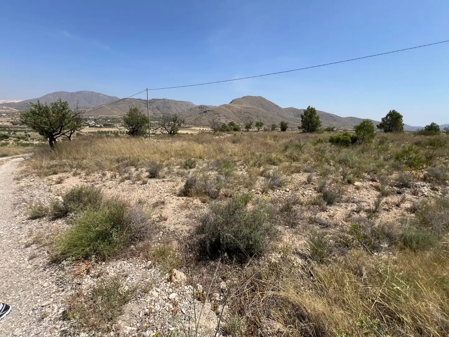 Terreny residencial en venda a La Murada - Los Vicentes, imagen 26