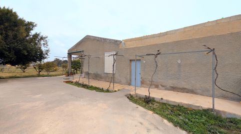 Photo 2 of Houses for sale in Valverde, Elche / Elx