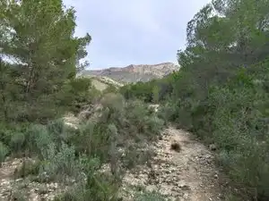 Terreno rustico in vendita a Carrer la Torreta, imagen 11