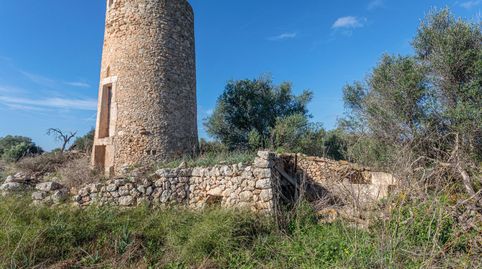 MAGNIFICA FINCA RÚSTICA EN LLUBI, imatge 5