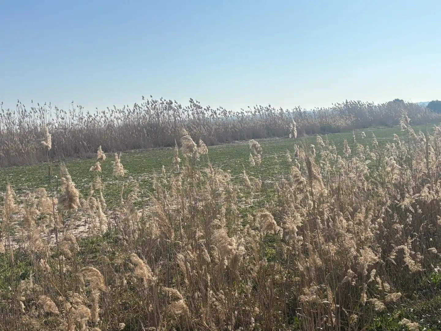 Terrain rustique à vendre à La Foia - Daimés - Asprella, imagen 28