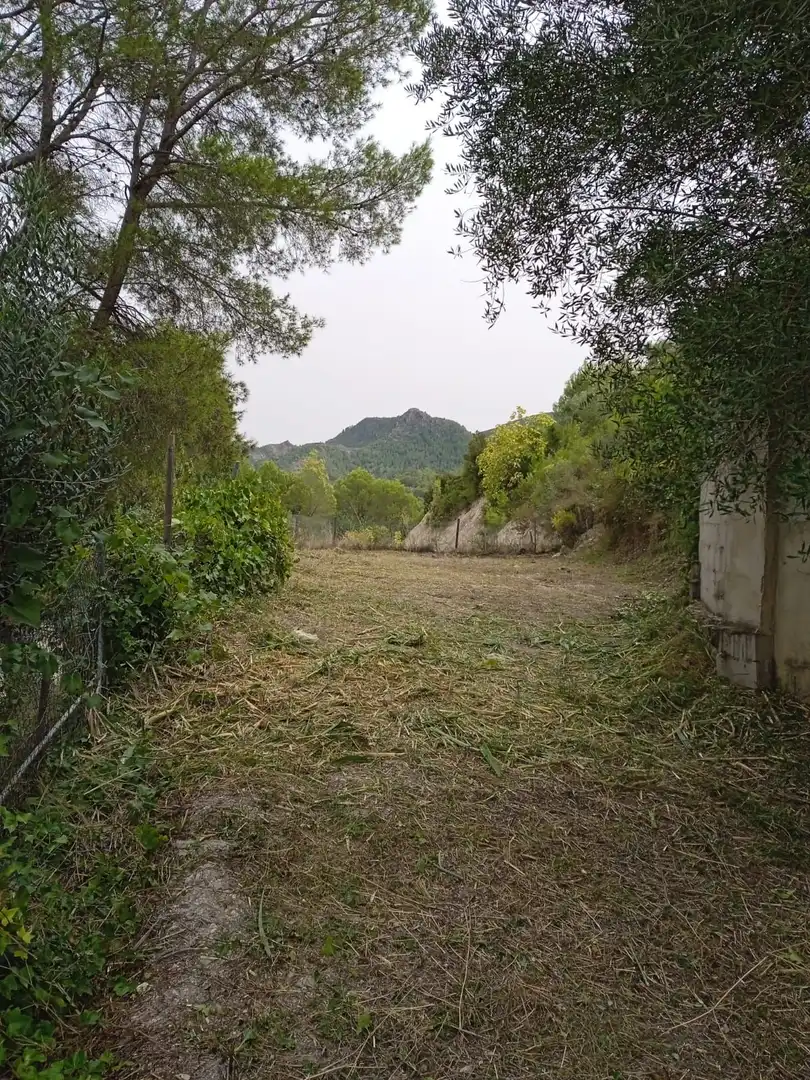 Terreno residencial en venta en Xàtiva, imagen 3
