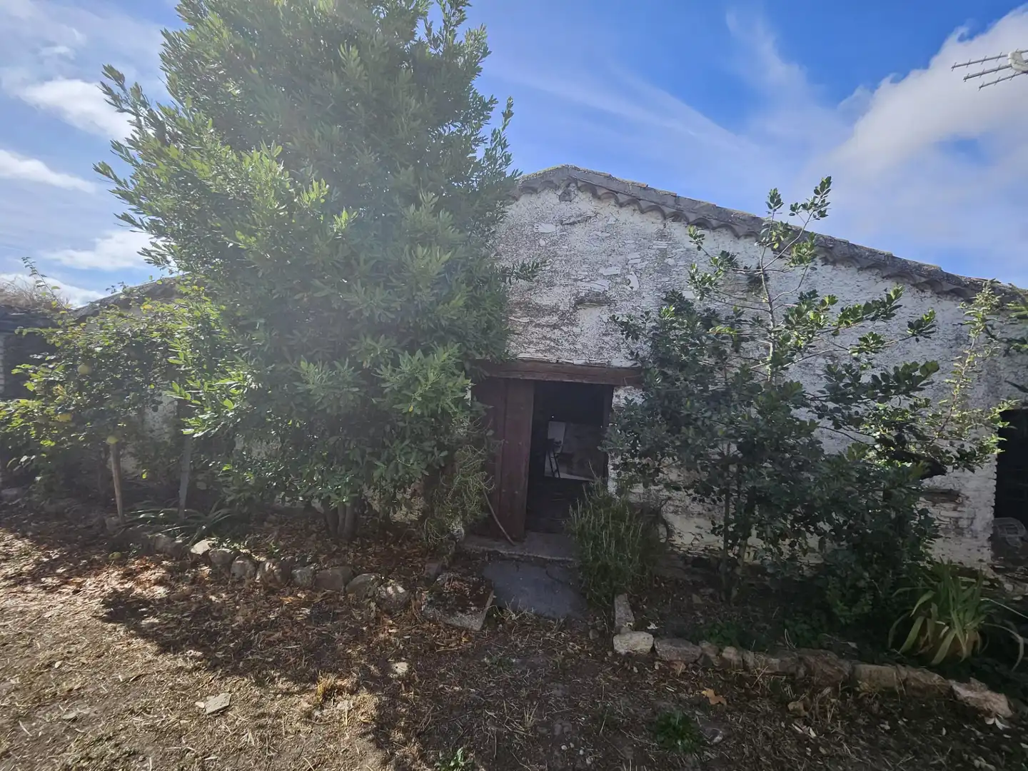 Vista exterior de Casa o chalet en venta en Berrocal de Salvatierra con Jardín privado y Amueblado