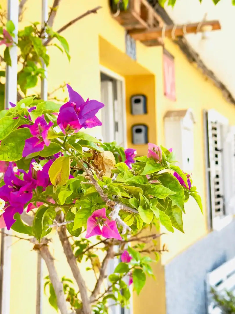 Terrasse von Einfamilien-Reihenhaus zum Verkauf in Teguise mit Terrasse, Möbliert und Balkon