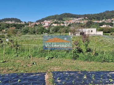 Terreni e lotti in vendita a Coiro