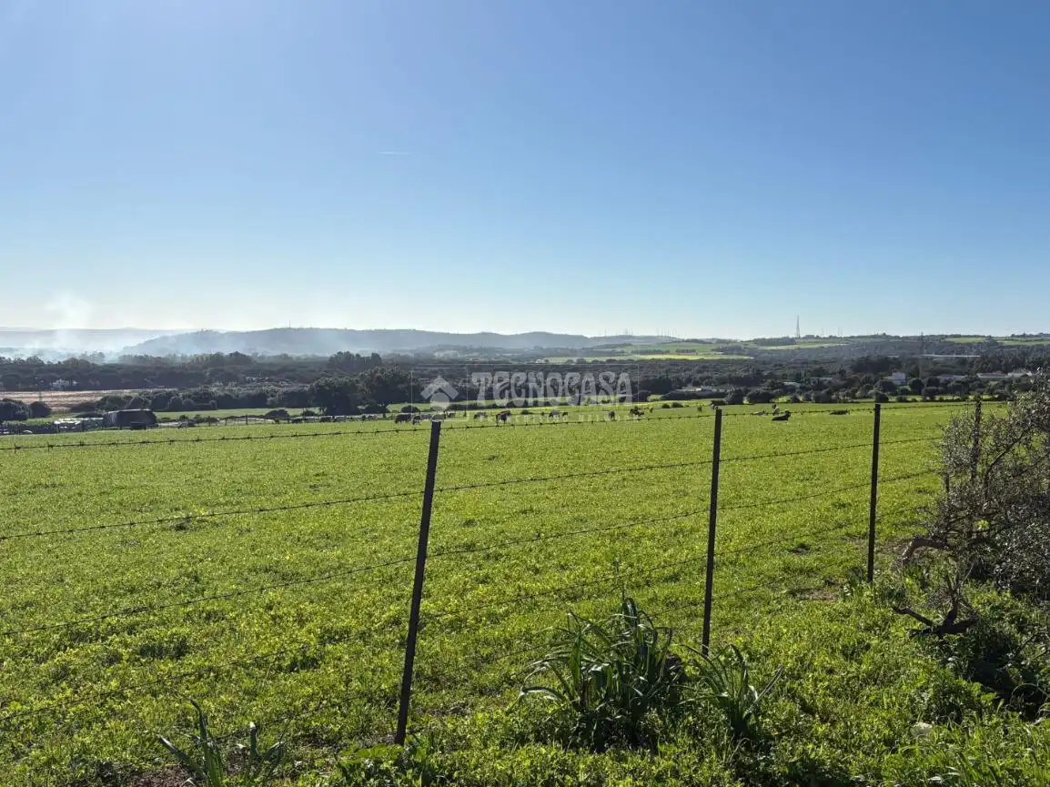 Terrain rustique à vendre à Vejer, imagen 18
