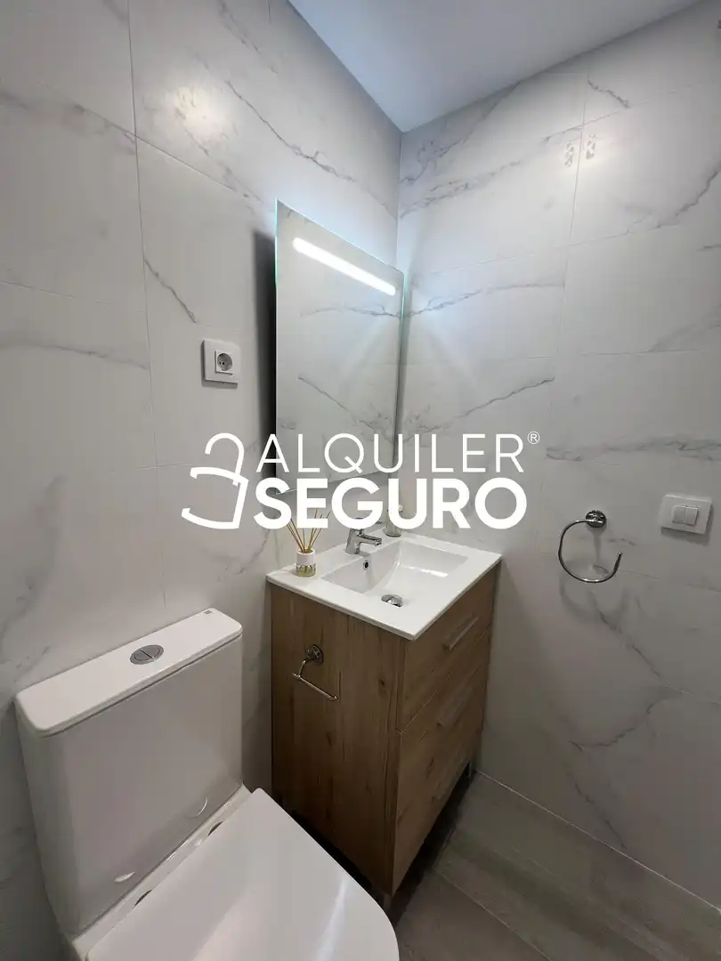 Loft con ascensore in affitto a del Puente Cultural, imagen 15
