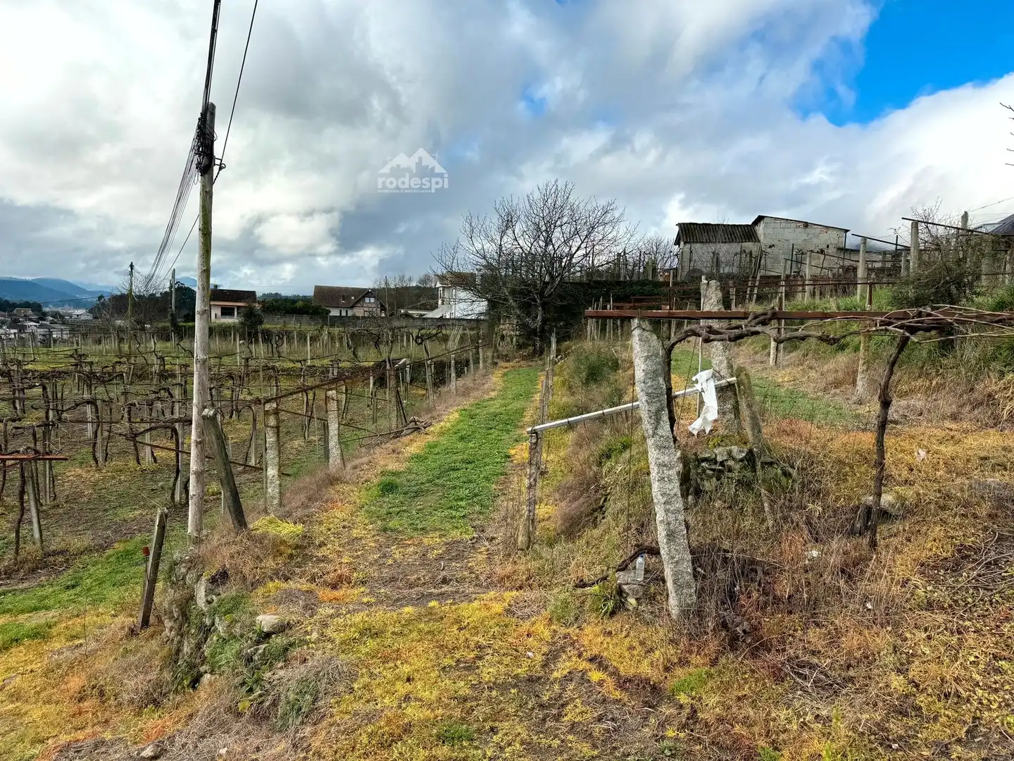 Rural land for sale in Arbo, imagen 8