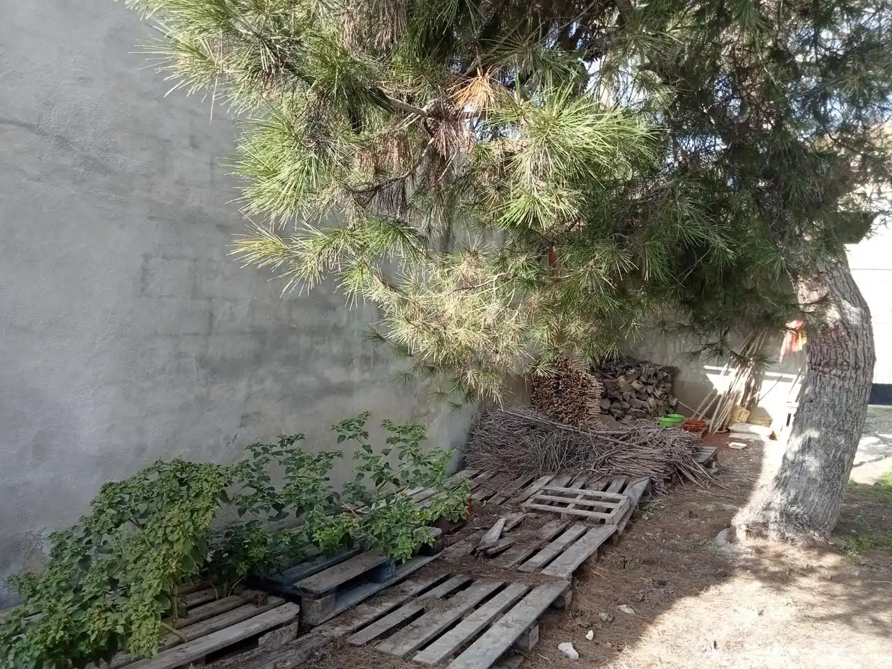 Casa rustica con giardino in vendita a Barrio las Barracas, imagen 21