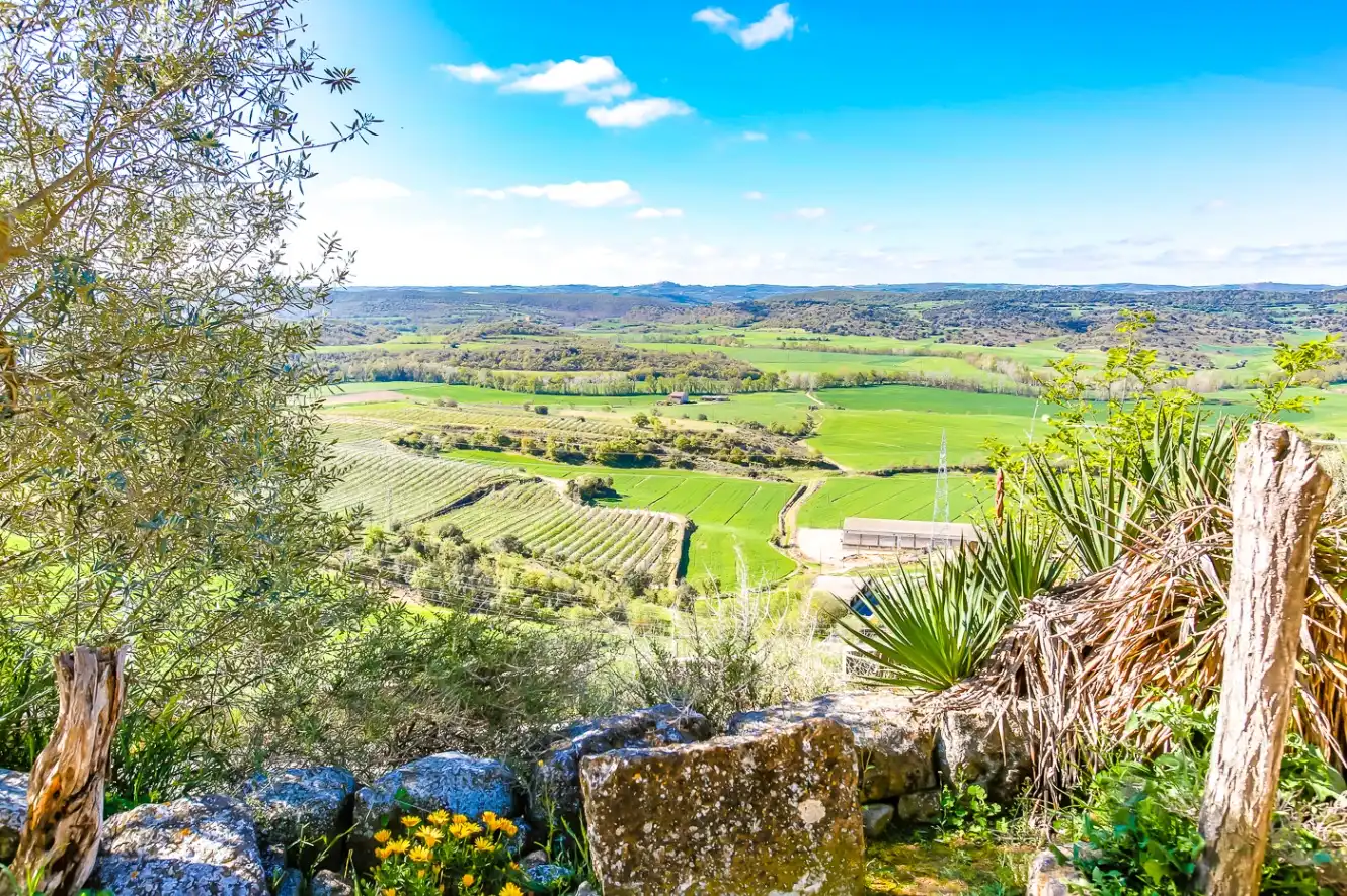 Vista exterior de Finca rústica en venda en Vilanova de l'Aguda