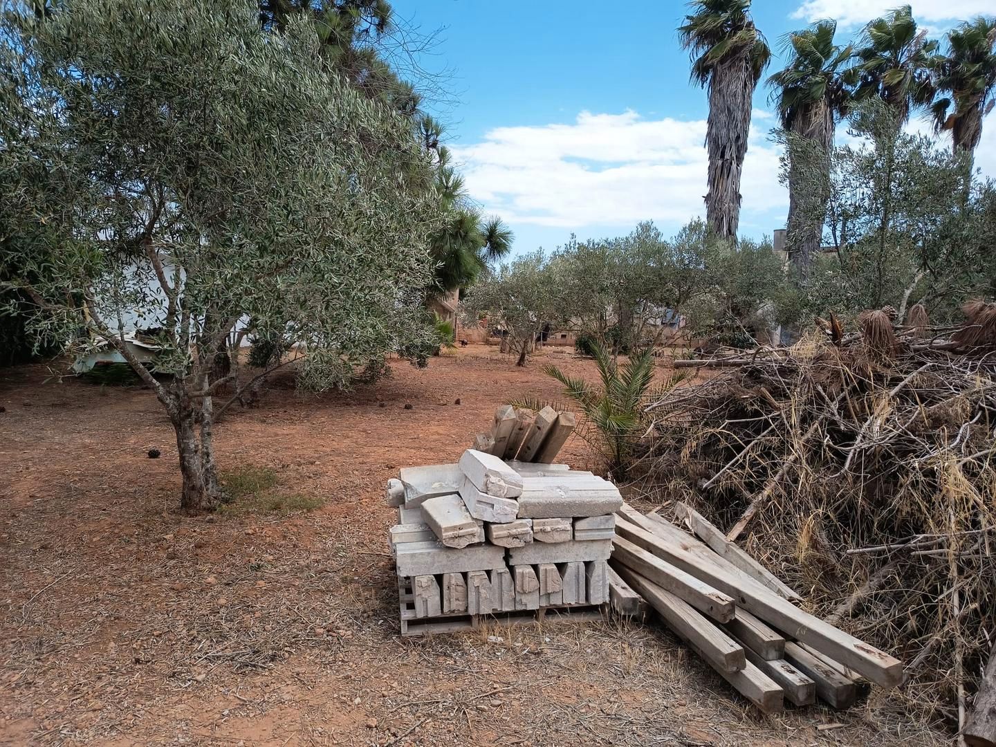 Finca rústica en venda en  Palma de Mallorca amb Jardí privat i Terrassa
