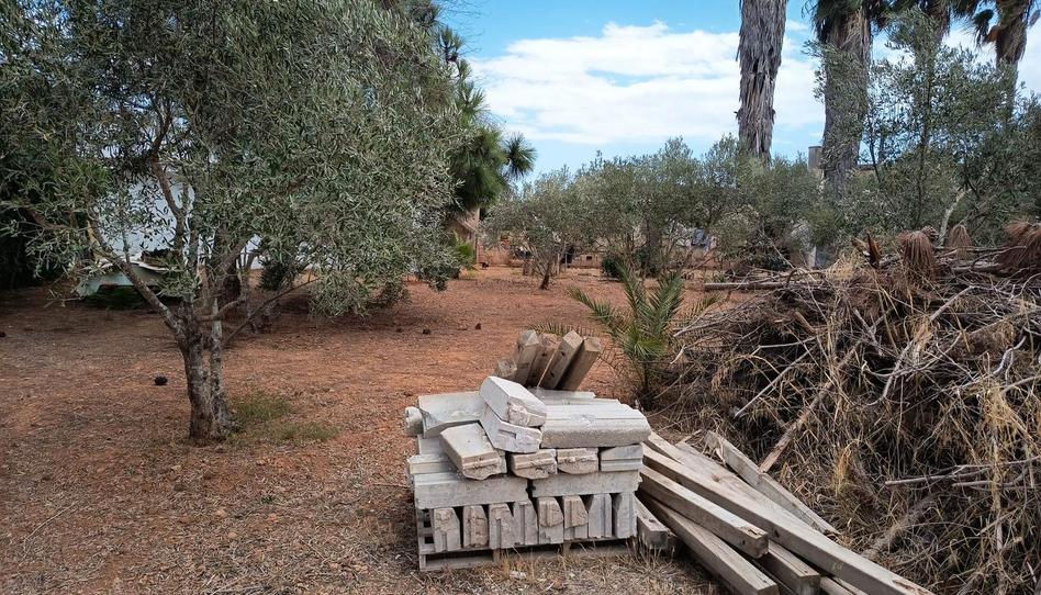 Foto 1 de Finca rústica en venta en N/a, -1, Son Riera - Aeroport, Illes Balears