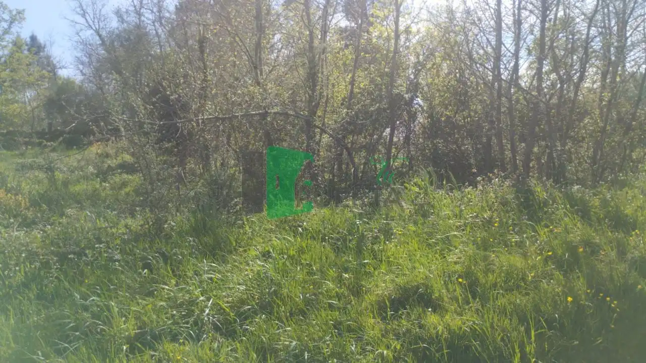 Terreni e lotti in vendita a San Cibrao das Viñas, imagen 5