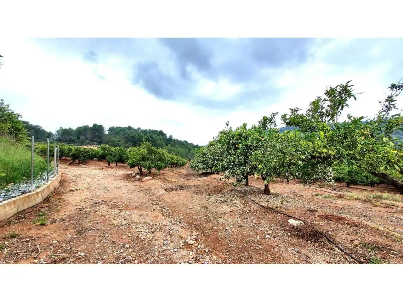 Rural land for sale in 30, imagen 8