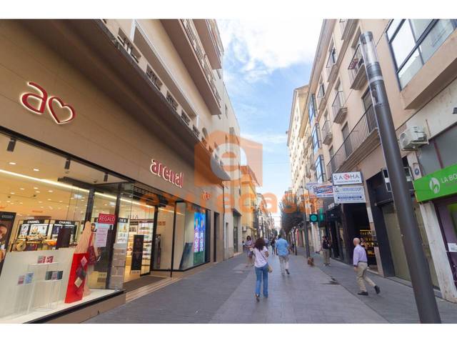 Local comercial en Alquiler en Casco Antiguo