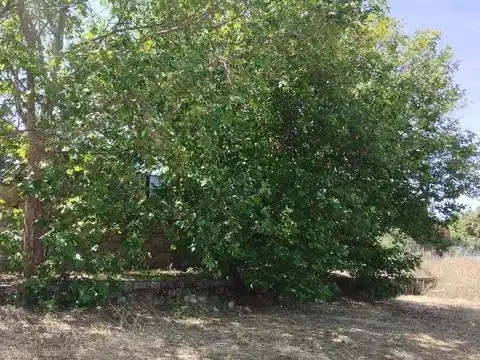 Residencial en venda a Los Molinos