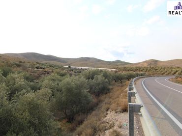 Rural land for sale in Alcolea