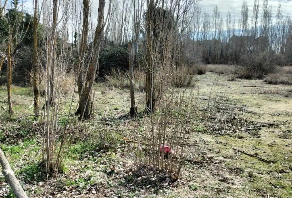 Lands and plots for sale in Calle Paloma, Sector 9 La Estación, imagen 6