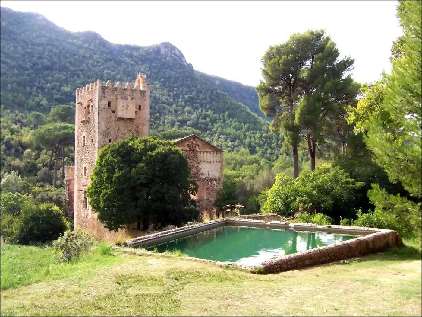 Garden of Residential for sale in Alzira