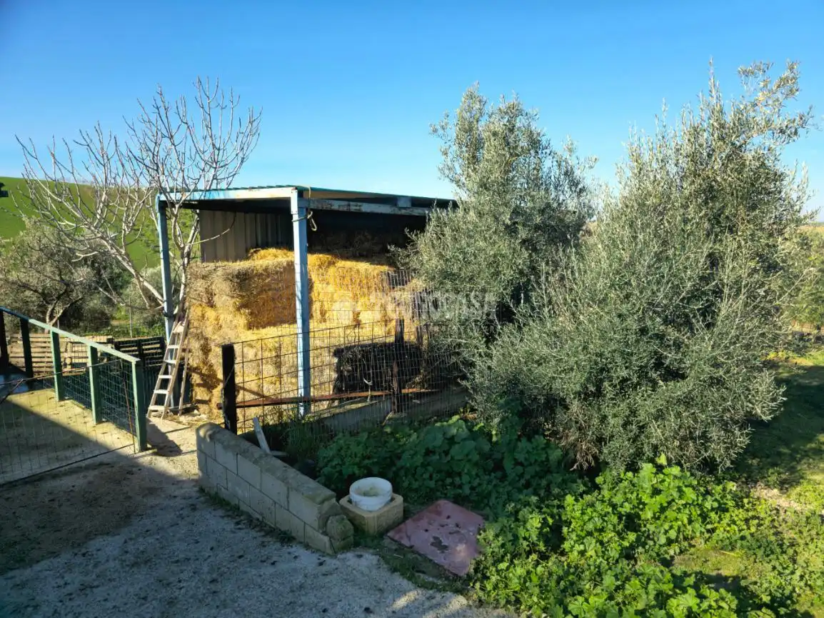 Terreno rustico in vendita a El Coronil, imagen 5