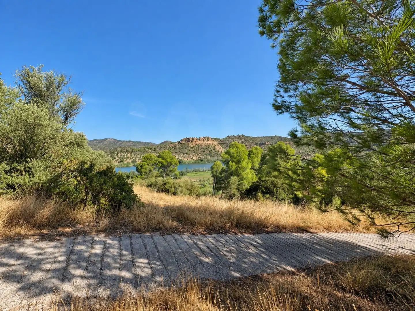 Terrain rustique à vendre à Riba-roja d'Ebre, imagen 14
