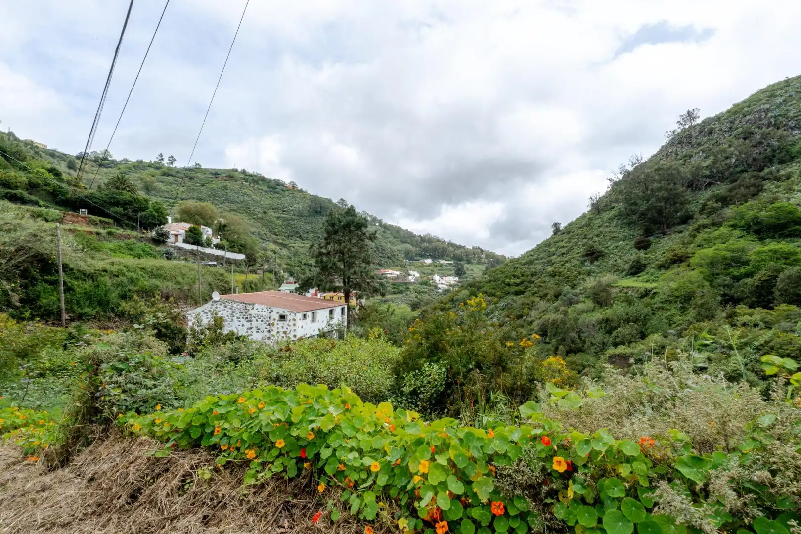 Exterior view of Land for sale in Teror