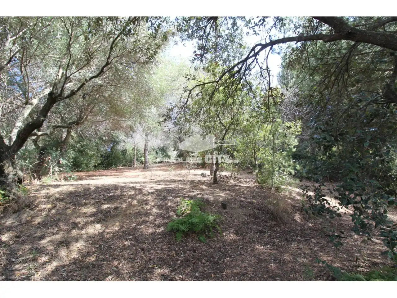 Residential land for sale in Avenida Àlbers, imagen 23