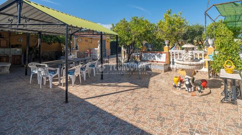 Foto 4 de Finca rústica en venta en San Roque - La Cruz - La Rozuela, Linares