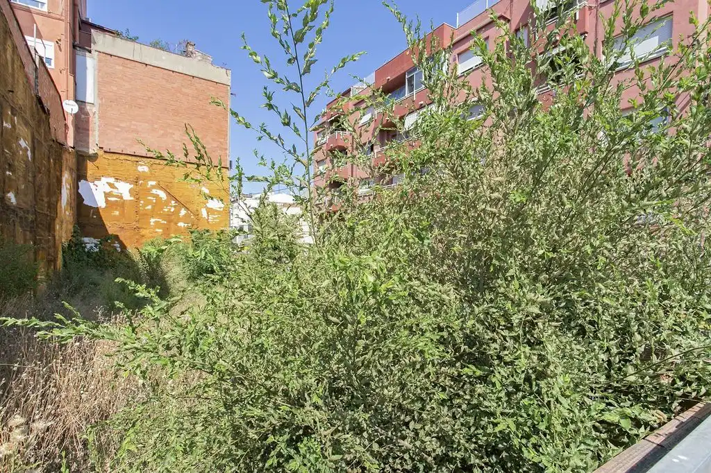 Terrenos y solares en venta en Parc Central