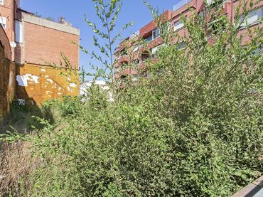 Terrenys i solars en venda a Parc Central